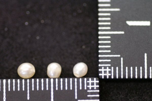 Photo1: Pearl (Spherical) (1)